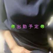 小林 聡美 🍀出勤予定🍀 熟女・人妻マダム宮殿