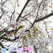 ヒメ日記 2025/04/08 22:58 投稿 あすな セレブクエスト-koshigaya-