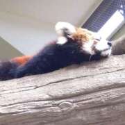 ヒメ日記 2025/05/14 16:52 投稿 あすな セレブクエスト-koshigaya-