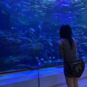 ヒメ日記 2025/06/13 22:53 投稿 河内 胡桃 テレジア名古屋