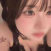 ヒメ日記 2025/04/18 08:31 投稿 みさ LEVEL1