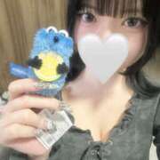 ヒメ日記 2025/05/08 00:05 投稿 みさ LEVEL1