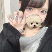 ヒメ日記 2025/05/18 02:21 投稿 みさ LEVEL1