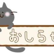 あかり お久しぶりです！ 人妻ちゃんねる