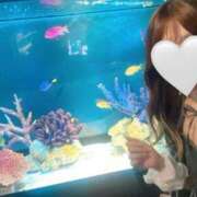 ヒメ日記 2025/09/04 17:02 投稿 なる あふたーすくーる本店