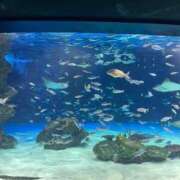 ヒメ日記 2025/09/05 19:05 投稿 なる あふたーすくーる本店