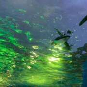 ヒメ日記 2025/09/14 02:18 投稿 なる あふたーすくーる本店