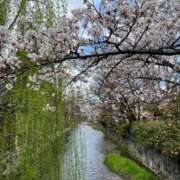 ヒメ日記 2025/04/05 10:01 投稿 木村　にこ プルプル人妻専門店