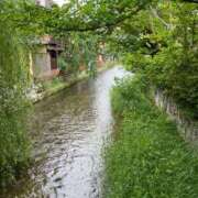 ヒメ日記 2025/05/17 08:31 投稿 木村　にこ プルプル人妻専門店