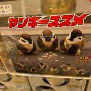 ヒメ日記 2025/05/18 09:14 投稿 木村　にこ プルプル人妻専門店