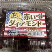 ヒメ日記 2025/07/24 12:00 投稿 木村　にこ プルプル人妻専門店