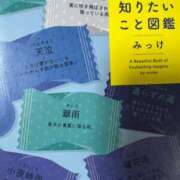 ヒメ日記 2025/09/12 19:08 投稿 木村　にこ プルプル人妻専門店