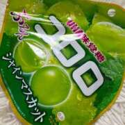 ヒメ日記 2025/09/23 09:31 投稿 木村　にこ プルプル人妻専門店