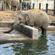 ヒメ日記 2025/11/05 11:10 投稿 木村　にこ プルプル人妻専門店