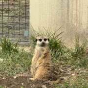 ヒメ日記 2025/11/08 10:27 投稿 木村　にこ プルプル人妻専門店