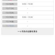 ヒメ日記 2025/11/10 06:00 投稿 木村　にこ プルプル人妻専門店