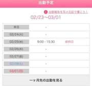 ヒメ日記 2026/02/23 10:15 投稿 木村　にこ プルプル人妻専門店