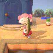 ヒメ日記 2026/02/26 09:00 投稿 木村　にこ プルプル人妻専門店