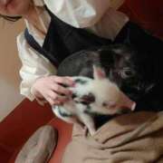 ヒメ日記 2025/05/21 04:59 投稿 つむぎ（花嫁） Yシャツと私