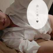 ヒメ日記 2025/06/30 06:11 投稿 つむぎ（花嫁） Yシャツと私