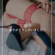 ヒメ日記 2024/12/19 14:41 投稿 芳野(よしの) Chaleur (シャルール)