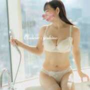 ヒメ日記 2025/02/03 09:09 投稿 芳野(よしの) Chaleur (シャルール)