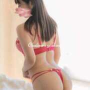 ヒメ日記 2025/02/16 09:13 投稿 芳野(よしの) Chaleur (シャルール)