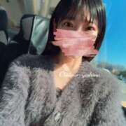 ヒメ日記 2025/03/16 21:03 投稿 芳野(よしの) Chaleur (シャルール)