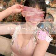 ヒメ日記 2025/04/08 09:09 投稿 芳野(よしの) Chaleur (シャルール)