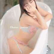 ヒメ日記 2025/04/09 08:41 投稿 芳野(よしの) Chaleur (シャルール)