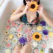 ヒメ日記 2025/08/04 15:57 投稿 芳野(よしの) Chaleur (シャルール)