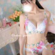 ヒメ日記 2025/11/07 09:58 投稿 芳野(よしの) Chaleur (シャルール)