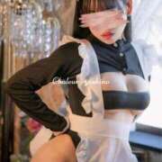 ヒメ日記 2025/11/09 12:38 投稿 芳野(よしの) Chaleur (シャルール)