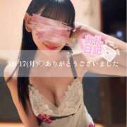 ヒメ日記 2025/11/17 19:52 投稿 芳野(よしの) Chaleur (シャルール)