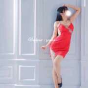 ヒメ日記 2025/12/26 08:12 投稿 芳野(よしの) Chaleur (シャルール)