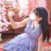 ヒメ日記 2026/03/28 21:31 投稿 芳野(よしの) Chaleur (シャルール)