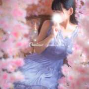 ヒメ日記 2026/04/12 19:30 投稿 芳野(よしの) Chaleur (シャルール)