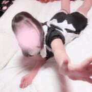 ヒメ日記 2025/03/06 18:49 投稿 にこ（青森店） JKプレミアガール青森・弘前店