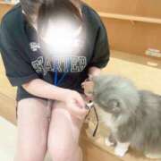 ヒメ日記 2025/07/26 15:24 投稿 にこ（青森店） JKプレミアガール青森・弘前店