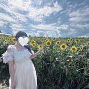 ヒメ日記 2025/08/10 18:57 投稿 にこ（青森店） JKプレミアガール青森・弘前店