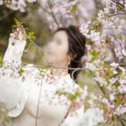 ヒメ日記 2025/08/26 22:51 投稿 ☆うらら☆まさに女神♪最強の一撃 プロポーション オキナワ