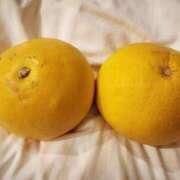 ヒメ日記 2025/05/13 09:41 投稿 あのん 即アポマダム～名古屋店～