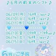 ヒメ日記 2025/06/07 19:08 投稿 モモカ ソープランド マックス