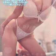 ヒメ日記 2026/02/11 10:02 投稿 モモカ ソープランド マックス