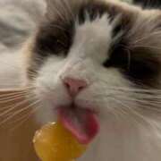 ヒメ日記 2025/03/10 10:08 投稿 とあ 全裸SUPERプレミアム