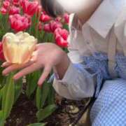 ヒメ日記 2025/04/16 12:04 投稿 とあ 全裸SUPERプレミアム