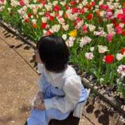 ヒメ日記 2025/08/23 12:06 投稿 とあ コスプレ痴漢電車