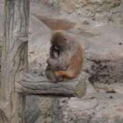 ヒメ日記 2026/03/12 10:58 投稿 とあ コスプレ痴漢電車