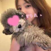 ヒメ日記 2025/09/03 15:10 投稿 莉愛/まりあ ANEJE～アネージュ池袋～(ユメオト)