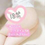 ヒメ日記 2024/12/08 10:16 投稿 上野【うえの】 丸妻 西船橋店